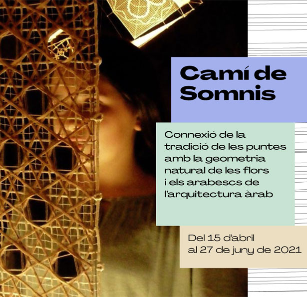 CAMI DE SOMNIS Web