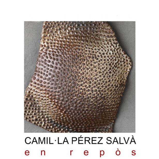 Camila Web