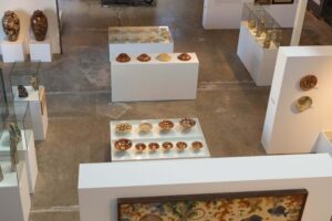 El Terracotta Museu Prorroga L’exposició Sobre Eusebi Díaz Costa I Presenta Un Llibre Sobre L’artista