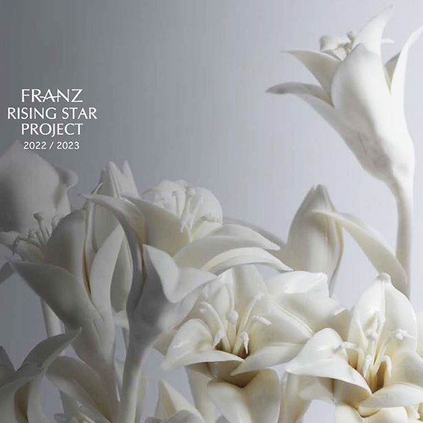 4th FRANZ Rising Star Project